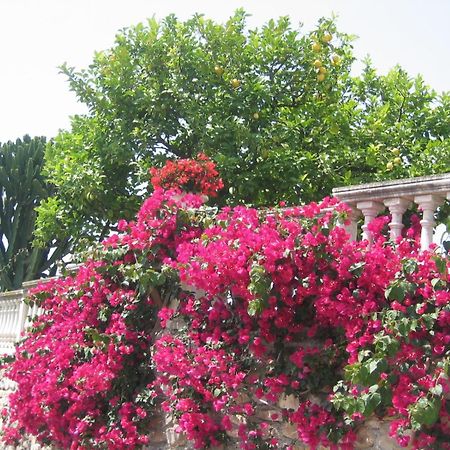 Villa Ca Dei Conti San Bartolomeo Al Mare Habitación foto